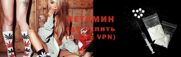 индика Новодвинск