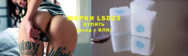 spice Баксан